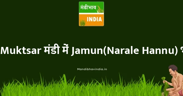 Jamun(Narale Hannu) भाव